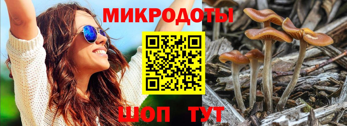 Псилоцибиновые грибы прущие грибы Куйбышев