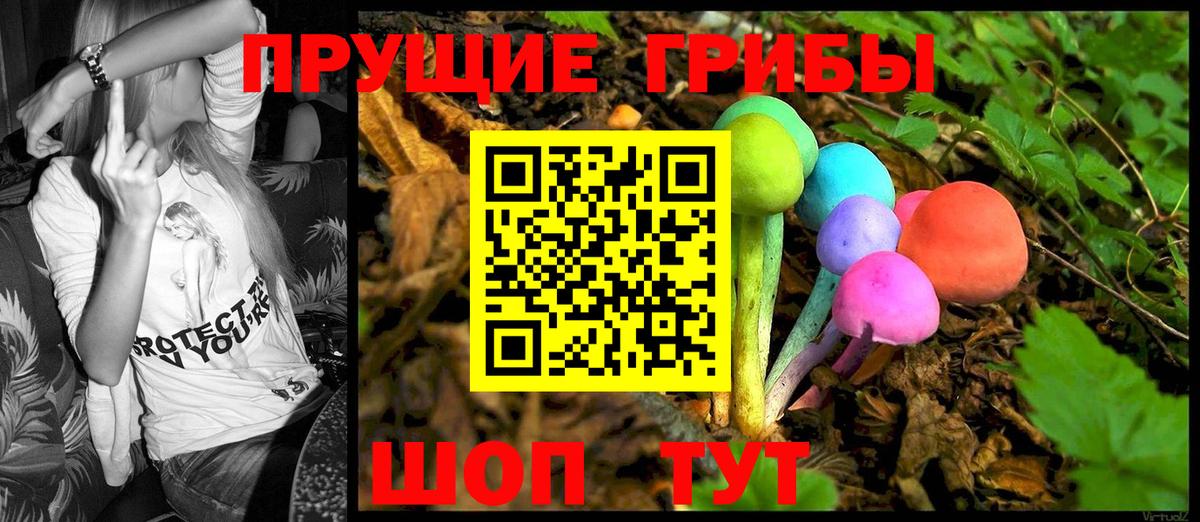 Галлюциногенные грибы Psilocybe  Вход с VPN  Куйбышев 